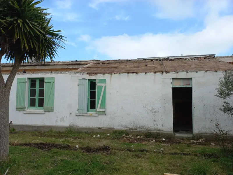 Bâtiment bas aux murs enduits de blanc, fenêtres et volets battants verts, porte ouverte, couverture déposée, palmier au premier plan.